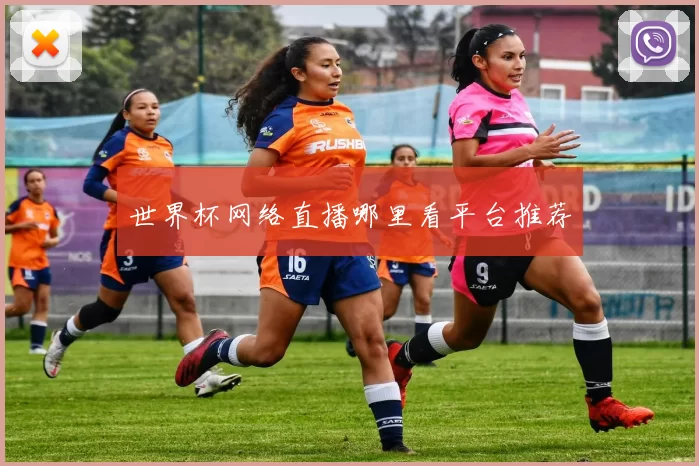 世界杯网络直播哪里看平台推荐