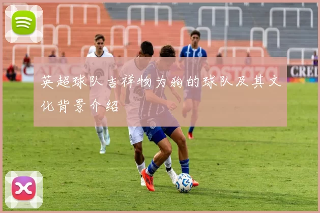 英超球队吉祥物为狗的球队及其文化背景介绍