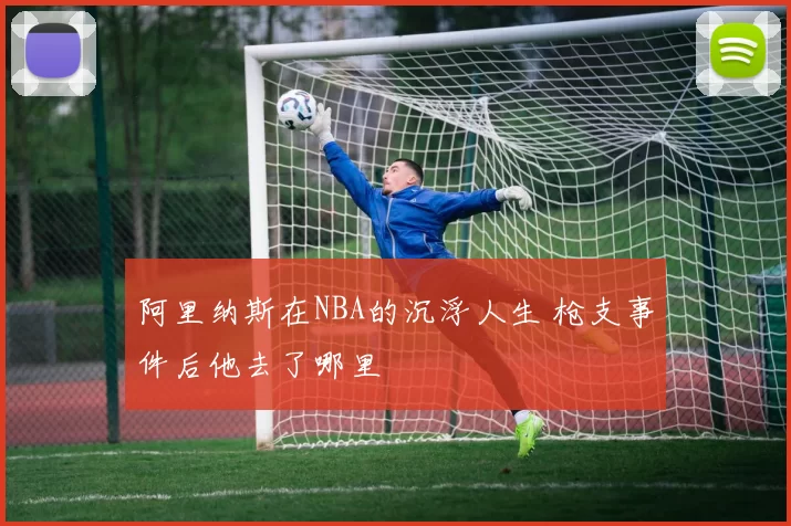 阿里纳斯在NBA的沉浮人生 枪支事件后他去了哪里