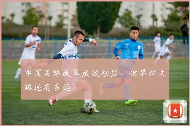 中国足球改革成效初显，世界杯之路还有多远？