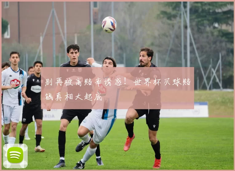 别再被高赔率诱惑!世界杯买球赔钱真相大起底