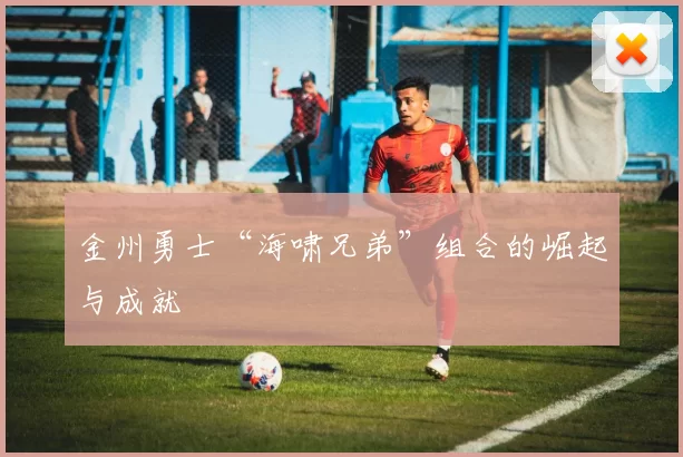 金州勇士“海啸兄弟”组合的崛起与成就