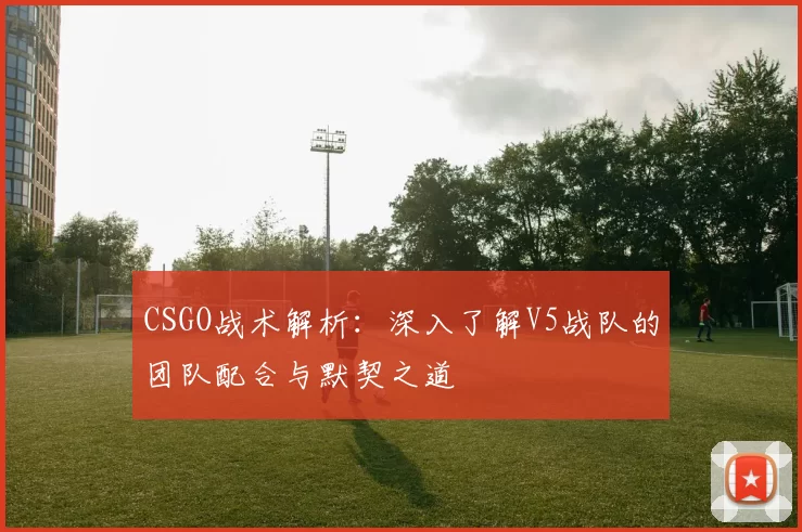 CSGO战术解析:深入了解V5战队的团队配合与默契之道