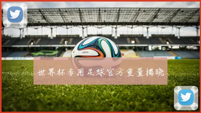 世界杯专用足球官方重量揭晓