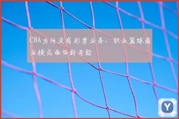 CBA为何没有彩票业务，职业篮球商业模式面临新考验