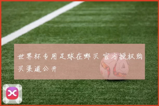世界杯专用足球在哪买 官方授权购买渠道公开