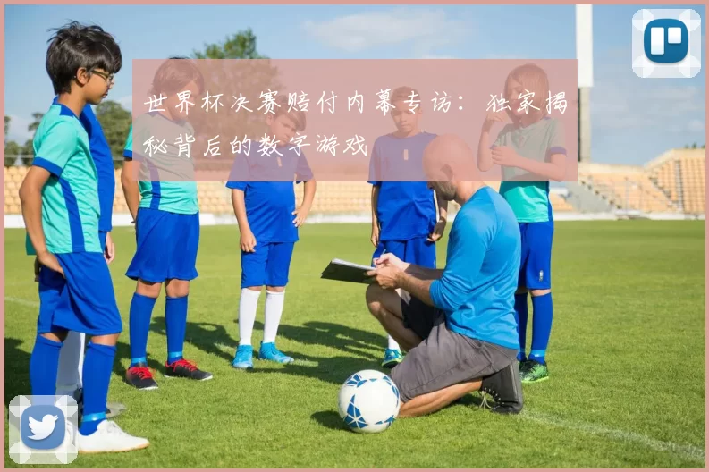 世界杯决赛赔付内幕专访：独家揭秘背后的数字游戏