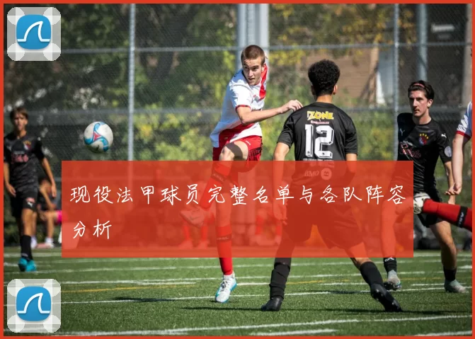 现役法甲球员完整名单与各队阵容分析