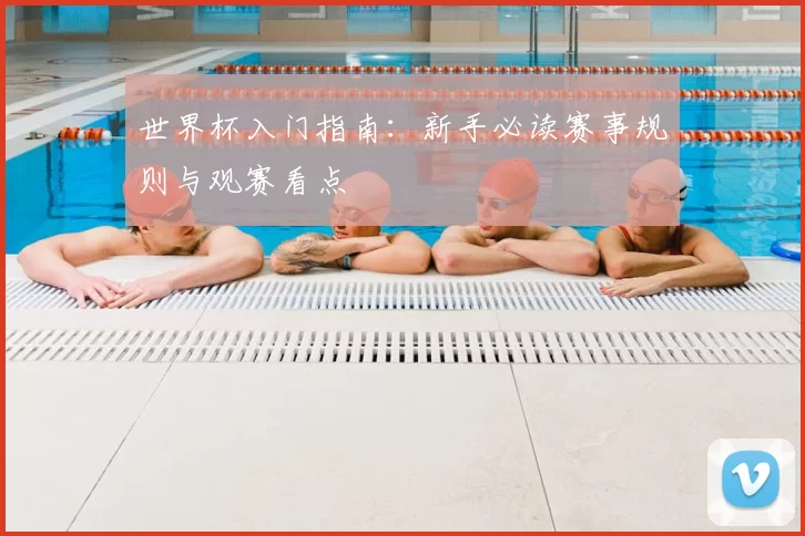 世界杯入门指南:新手必读赛事规则与观赛看点