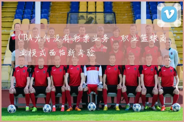 CBA为何没有彩票业务，职业篮球商业模式面临新考验