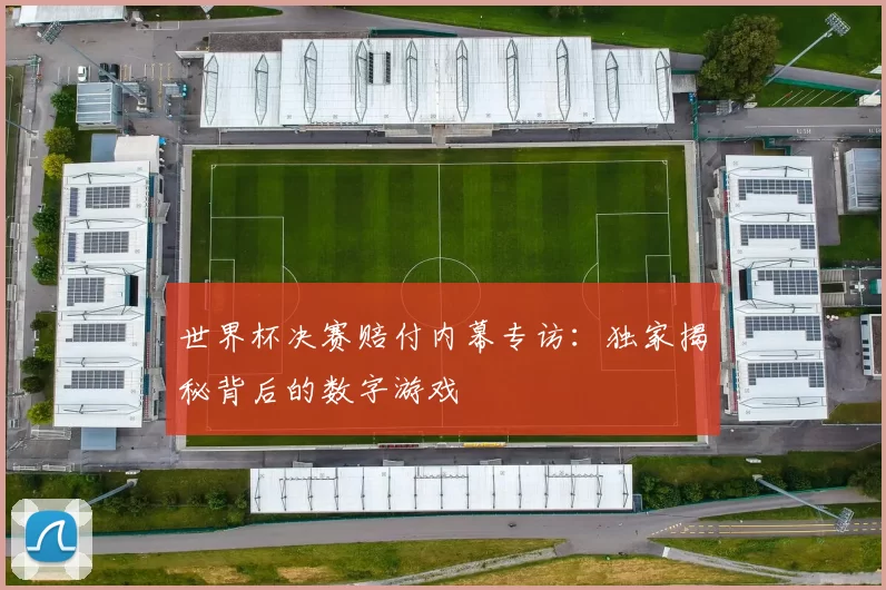 世界杯决赛赔付内幕专访：独家揭秘背后的数字游戏