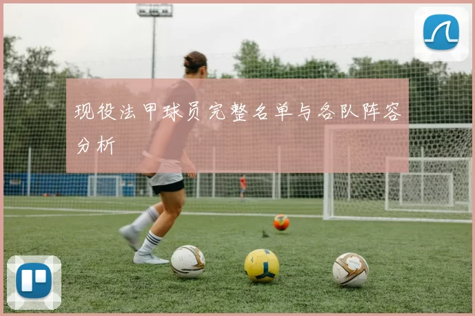 现役法甲球员完整名单与各队阵容分析