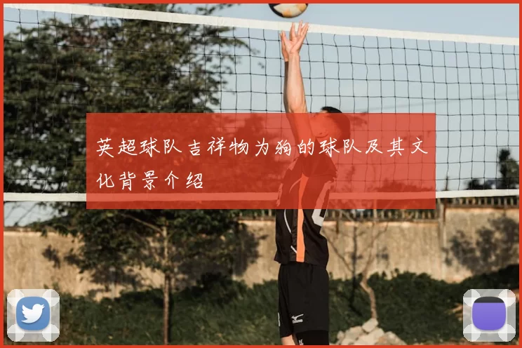 英超球队吉祥物为狗的球队及其文化背景介绍