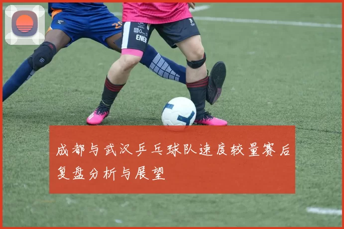 成都与武汉乒乓球队速度较量赛后复盘分析与展望