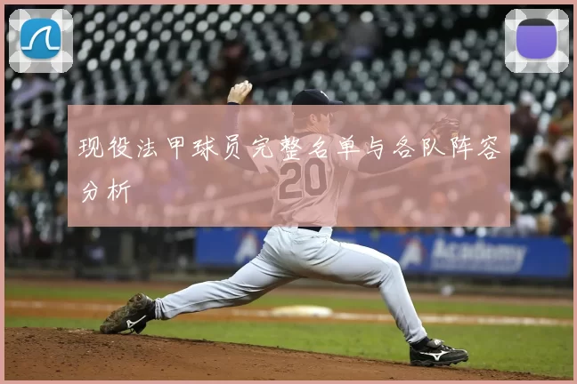 现役法甲球员完整名单与各队阵容分析