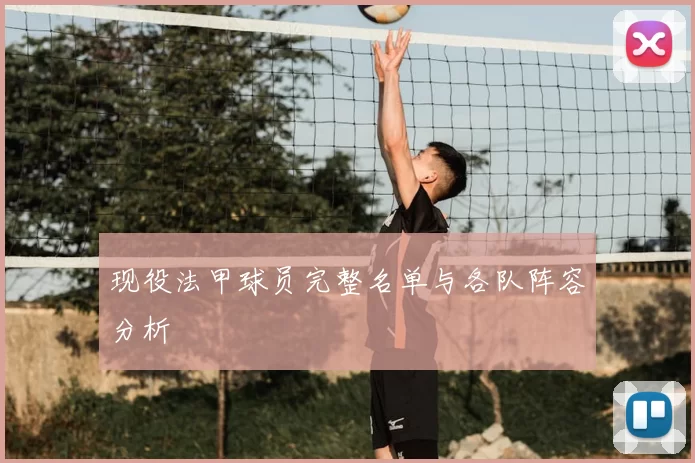 现役法甲球员完整名单与各队阵容分析