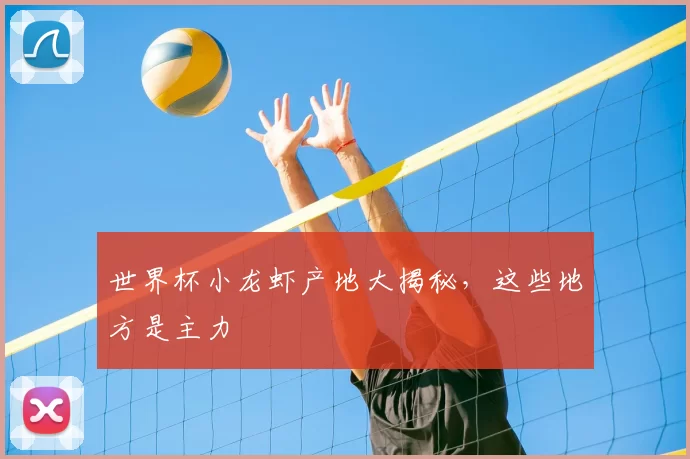 世界杯小龙虾产地大揭秘,这些地方是主力