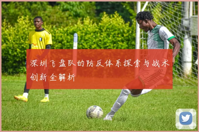 深圳飞盘队的防反体系探索与战术创新全解析
