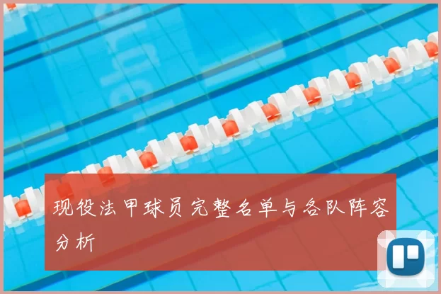 现役法甲球员完整名单与各队阵容分析