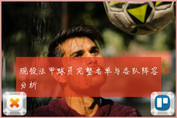 现役法甲球员完整名单与各队阵容分析