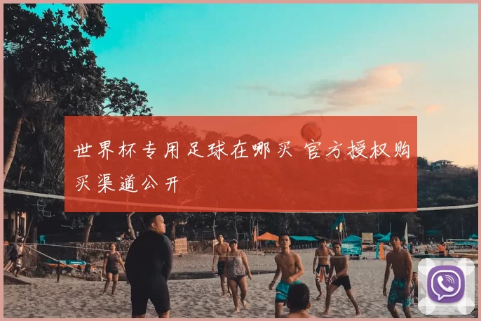 世界杯专用足球在哪买 官方授权购买渠道公开