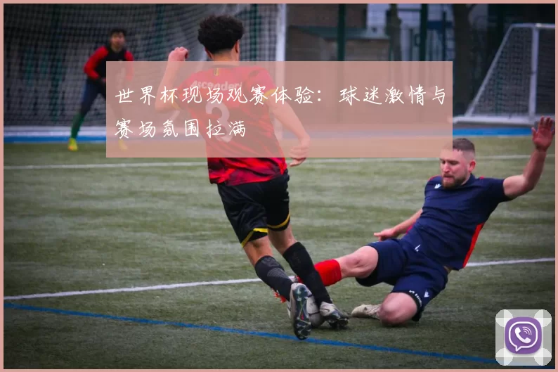 世界杯现场观赛体验：球迷激情与赛场氛围拉满