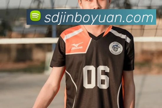 App Interface Preview